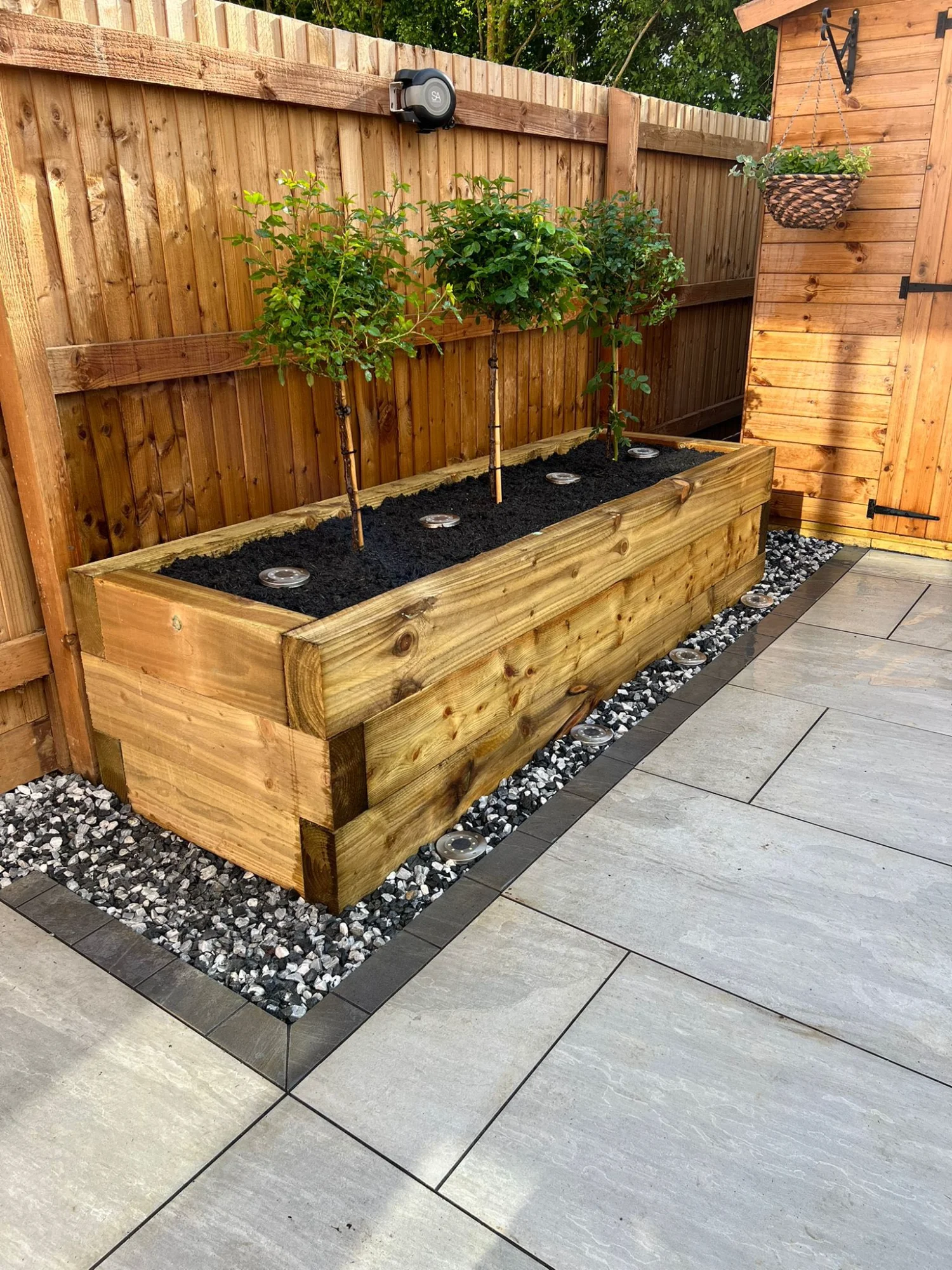 Professional garden transformation